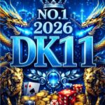 DK11 Game