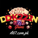 DK222 Game